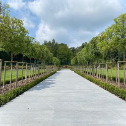 Apex Silver Grey Porcelain in this extensive garden with multiple walkways leading to expansive terraces. A successful project with a superb conclusion.